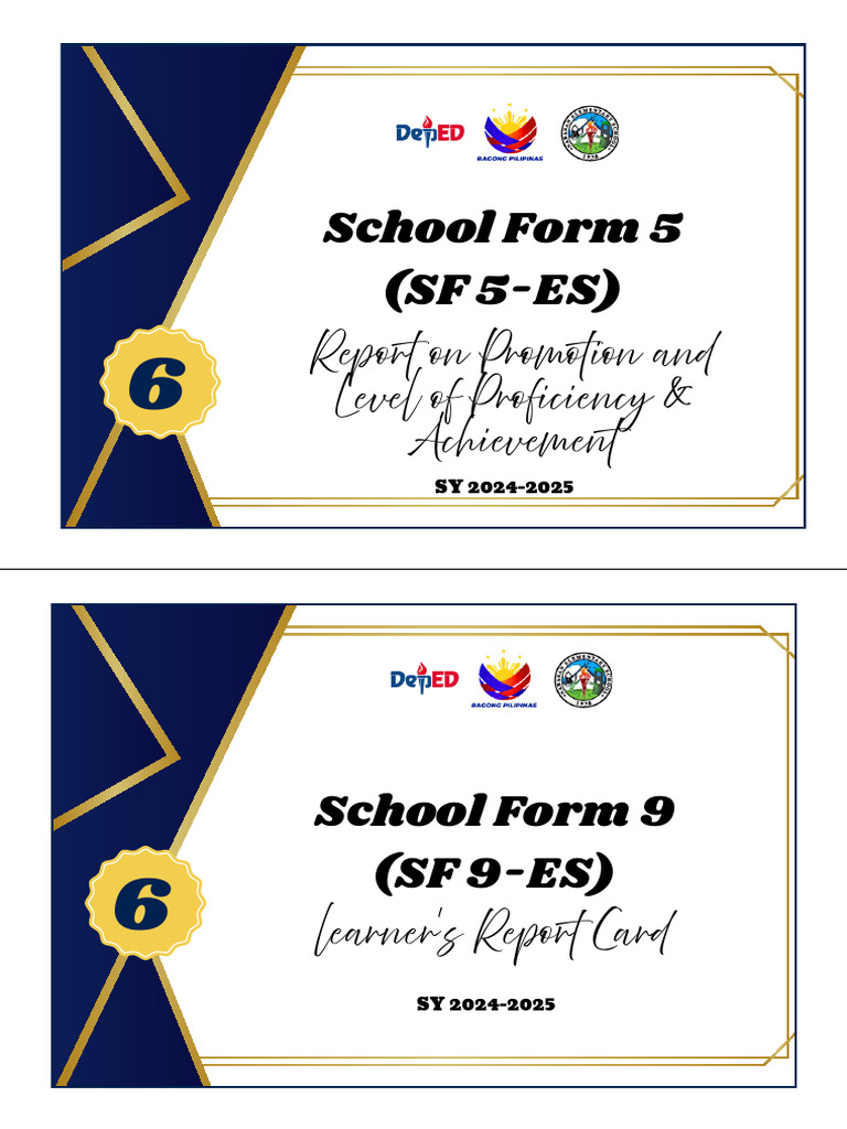School Forms 5 & 9 Report 2024-2025 | PDF