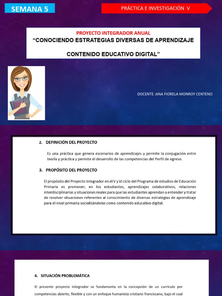 Proyecto Integrador V Pdf