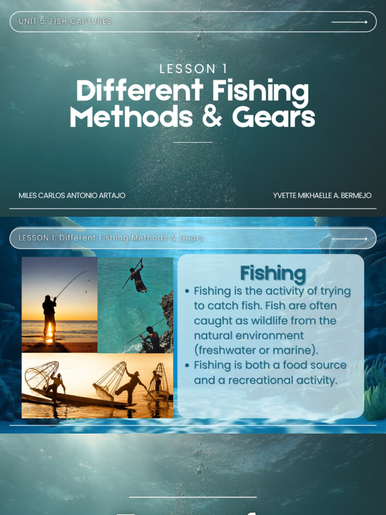 Fishing Methods and Gear Overview | PDF | Fish And Humans | Fish