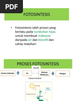 Download FOTOSINTESIS by Ismariza Ismail SN86475961 doc pdf