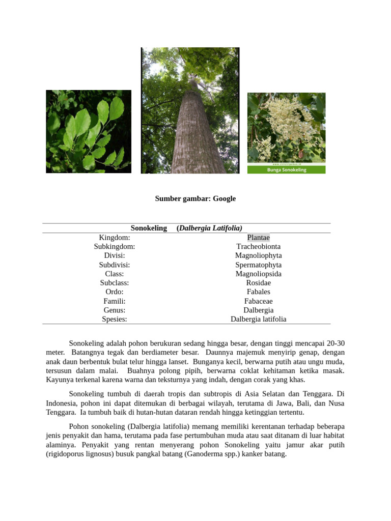 Yetuk onalarning rus porno fotosuratlari