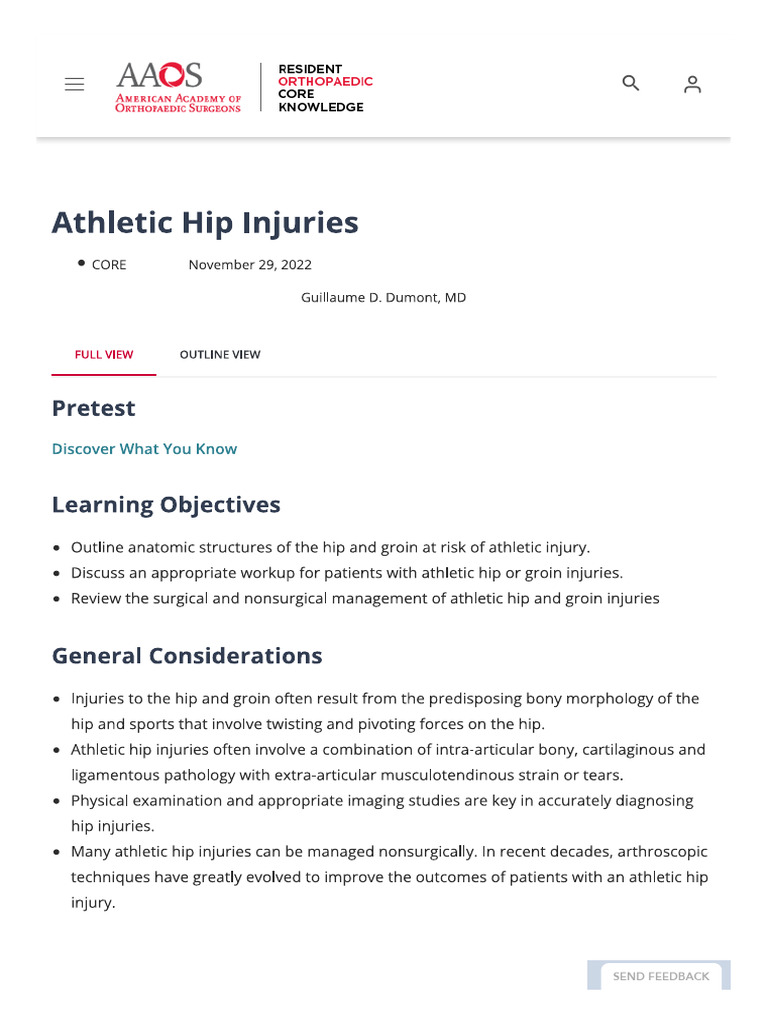 Athletic Hip Injuries | PDF