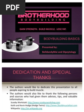Bodybuilding Basics
