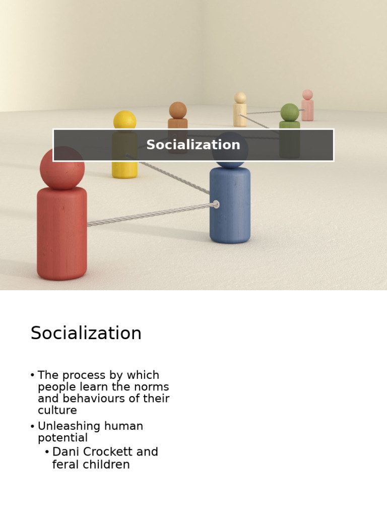 Understanding Socialization Processes | PDF