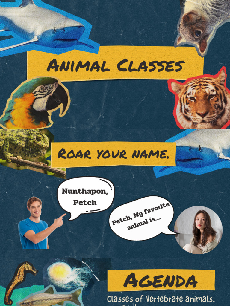 Understanding Animal Classes: Traits Explained | PDF