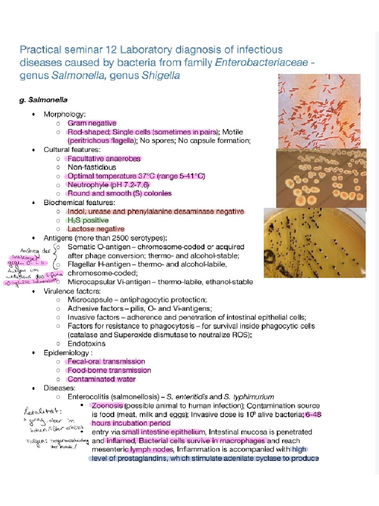 Microbiology Summary - 4 | PDF