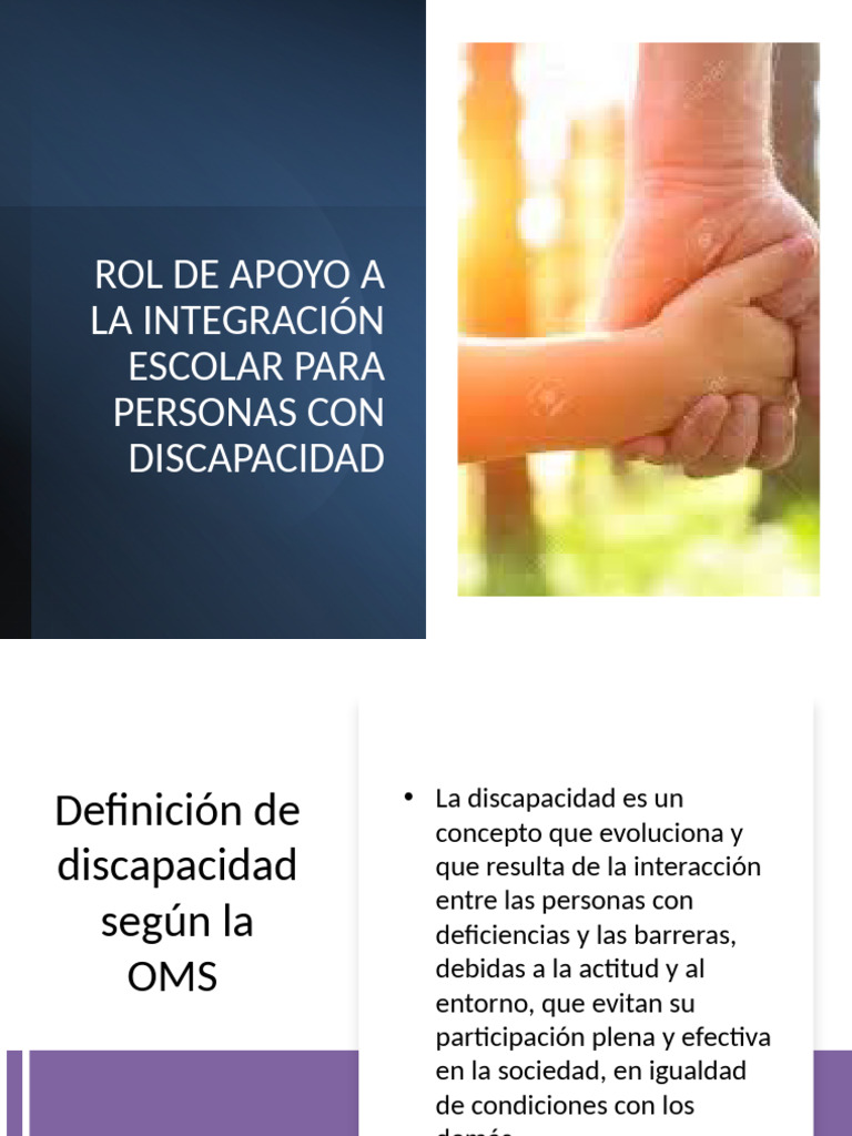 Apoyo a la Integración Escolar de Discapacitados | PDF | Plan de ...