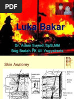 Luka Bakar DR Adam