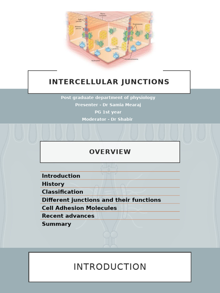 Intercellular Junctions Overview and Functions | PDF | Cell Adhesion ...