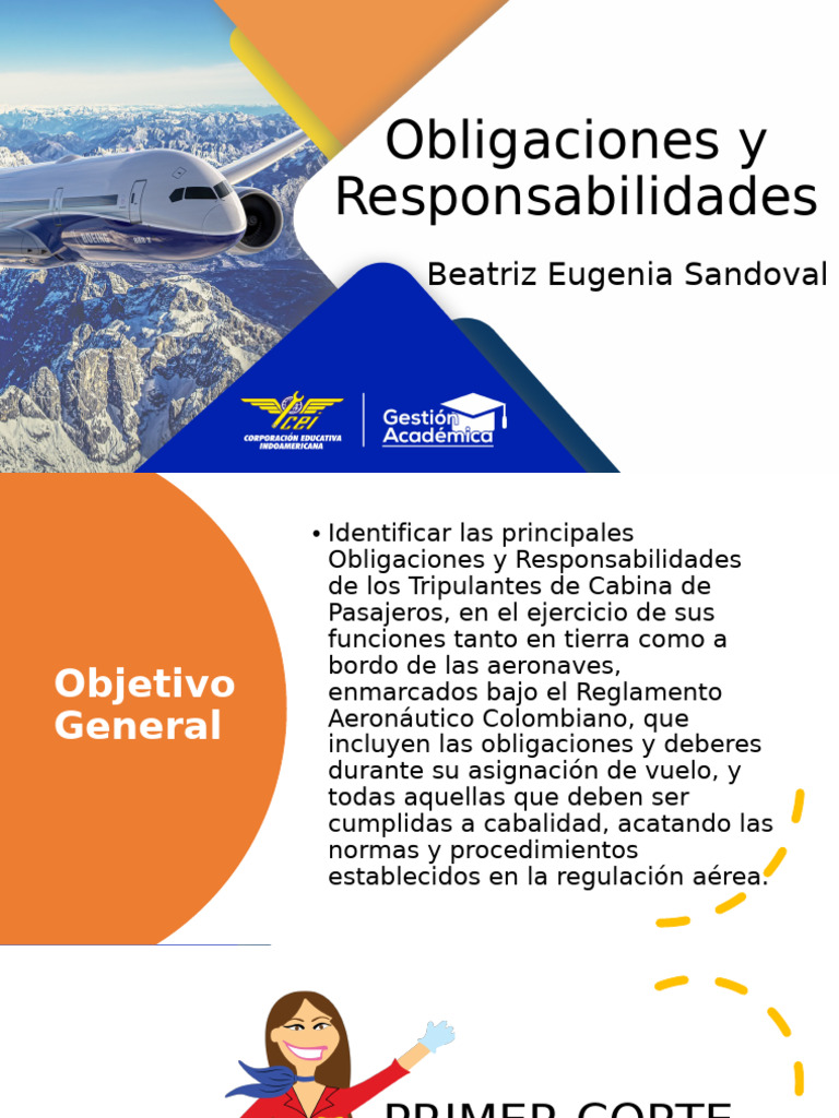 Obligaciones Y Responsabilidades Cei 2023 Pdf Aeropuerto Auxiliar