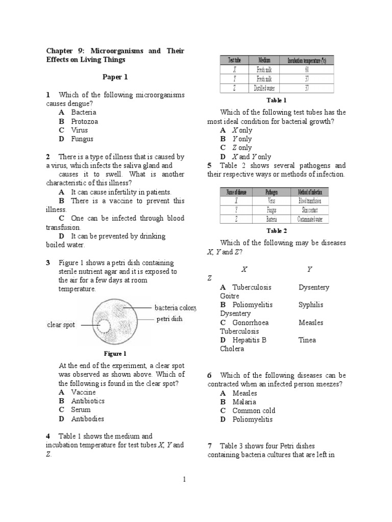 Microorganisms and Their Impact on Health | PDF | Infection | Microorganism
