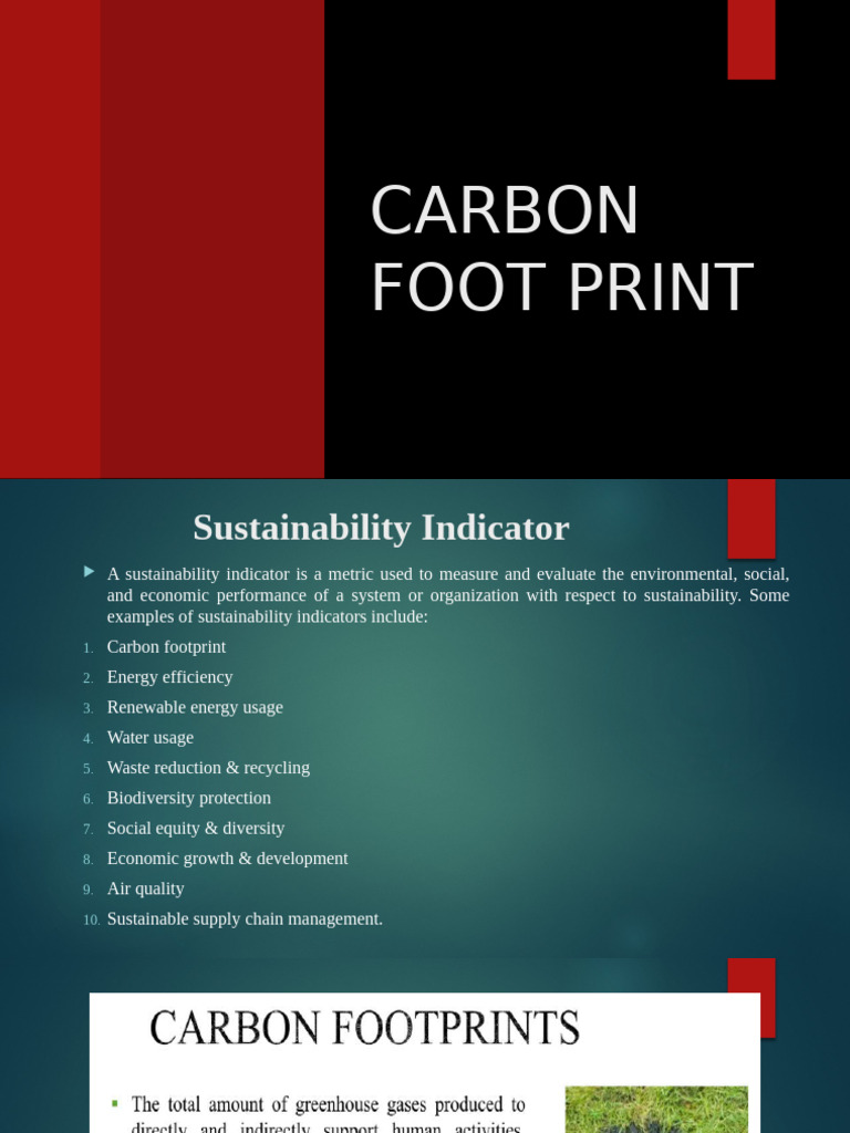 Understanding Carbon Footprint Metrics | PDF