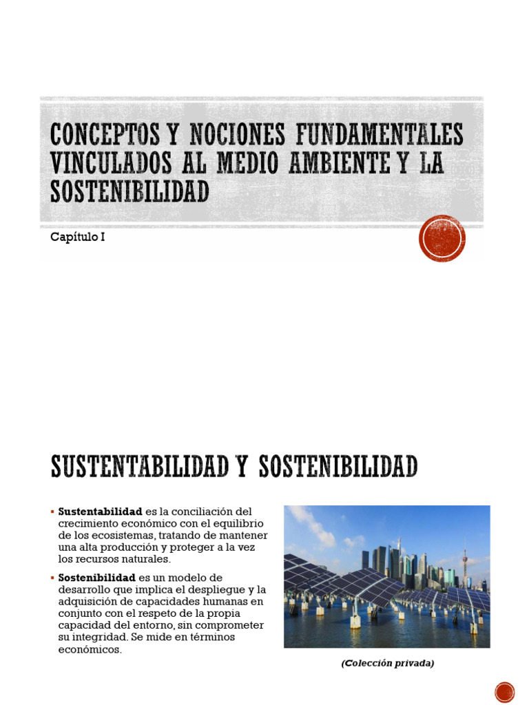 Conceptos Clave de Sustentabilidad y Ecología | PDF | Sustentabilidad ...