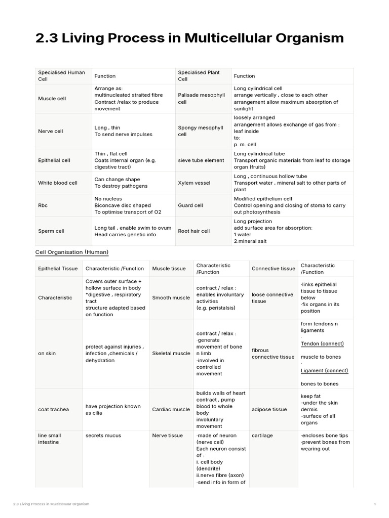 2.3 Living Process in Multicellular Organism | PDF | Tissue (Biology ...