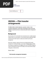Pilot Transfer Arrangements Guidelines | PDF | Rope | Ships