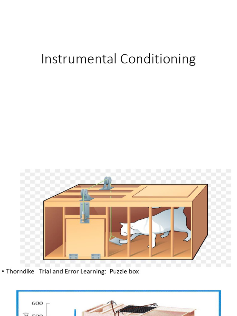 Understanding Instrumental Conditioning | PDF | Behavioural Sciences ...