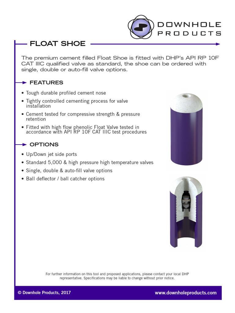 Premium Float Shoe Specifications | PDF