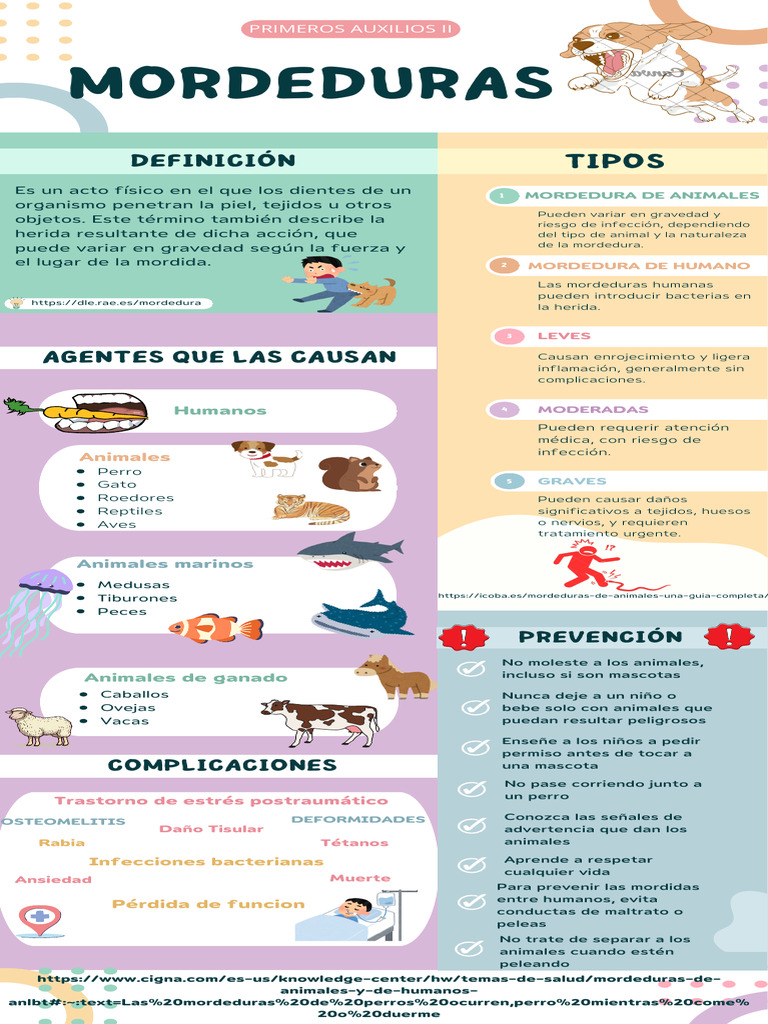 Guia para Atencion A Mordeduras de Perros | Rabia