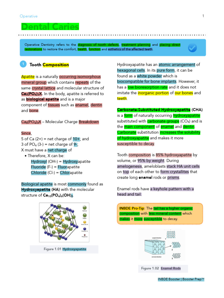 Understanding Tooth Composition and Caries | PDF | Tooth Enamel | Human ...