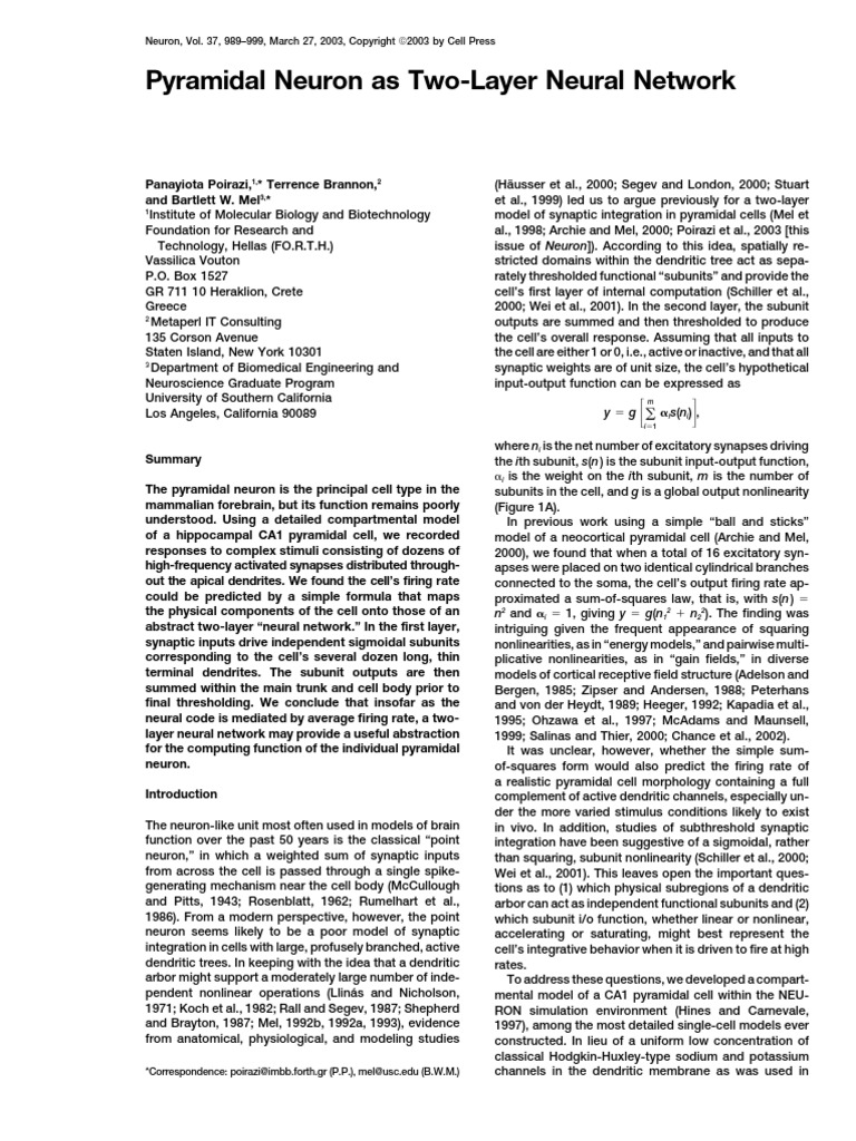 Pyramidal Neuron Two-Layer Model | PDF | Pyramidal Cell | Dendrite