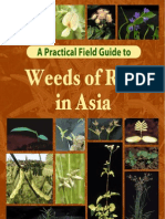 Weeds of Rice in Asia