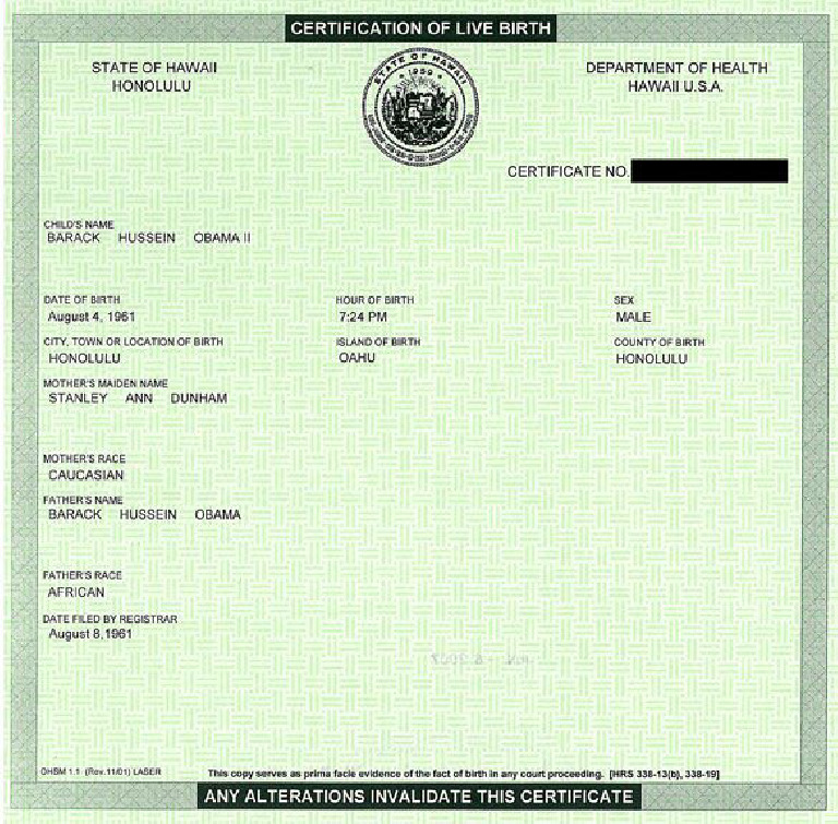 REPLACEMENT BIRTH CERTIFICATE NSW PDF visual data 5