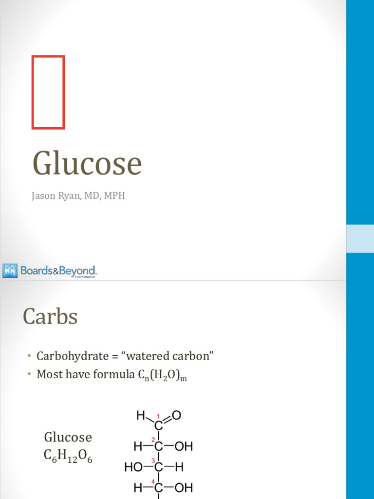 Understanding Glucose Metabolism and Transport | PDF | Glucose ...