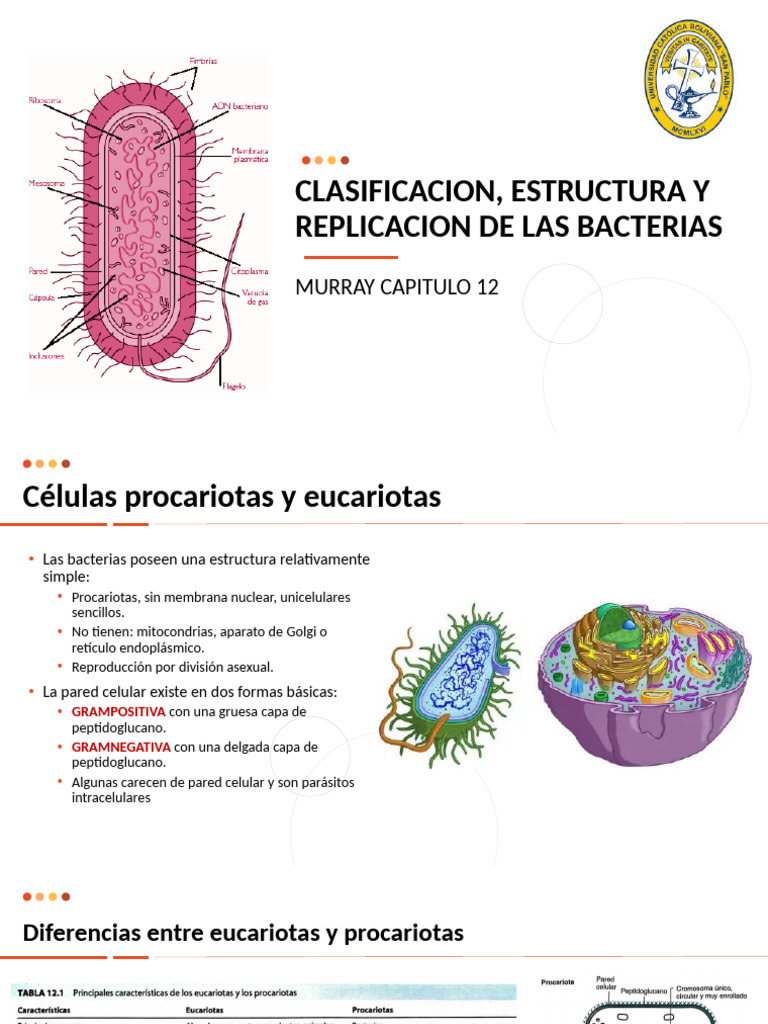Clasificacion, Estructura Bacteriana | PDF | Las bacterias | Biología ...