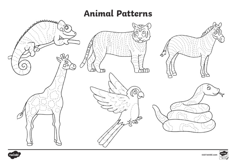 EYFS Animal Patterns Pencil Control Activity Pack | PDF