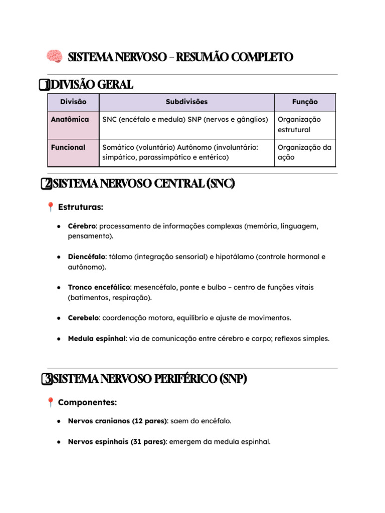 Estrutura E Função Do Sistema Nervoso Pdf Sistema Nervoso Central