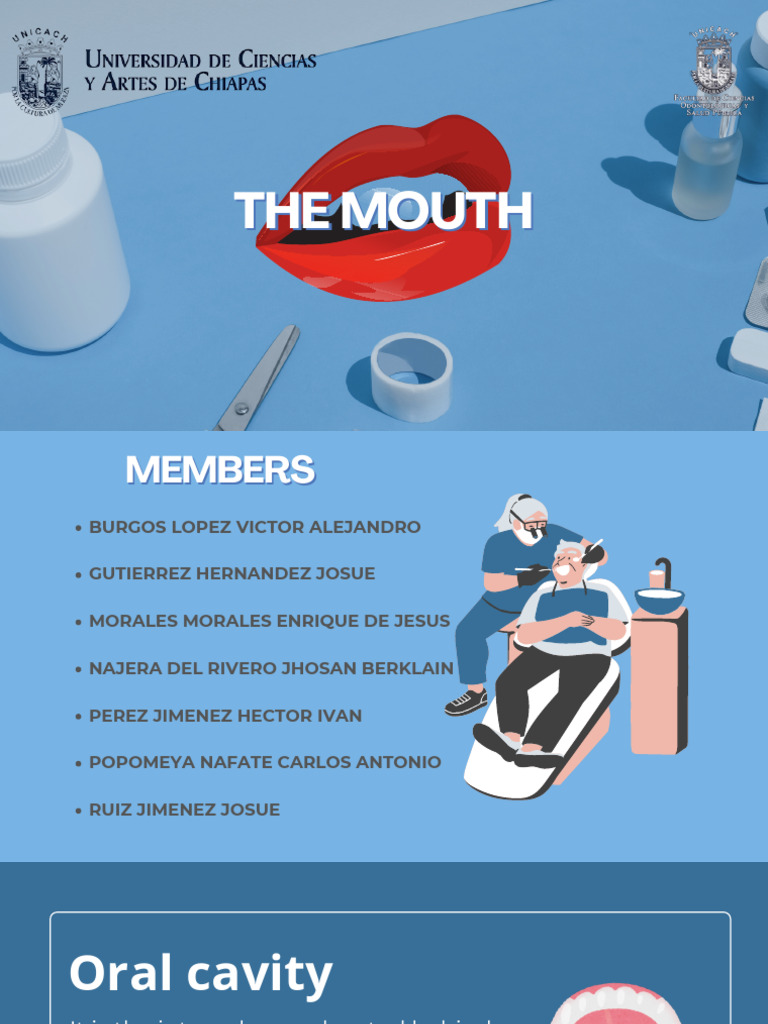 Anatomy and Functions of the Mouth | PDF | Mouth | Taste