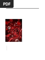 Labeled Diagram of Red Blood Cells | PDF | Red Blood Cell | Blood