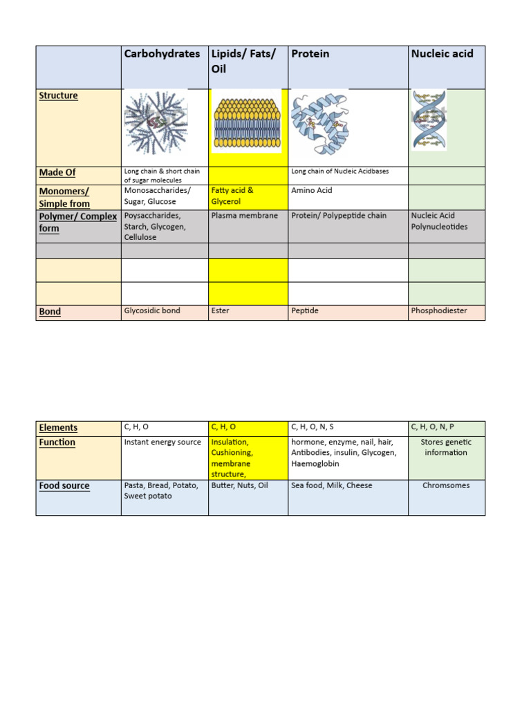 Overview of Biological Macromolecules | PDF