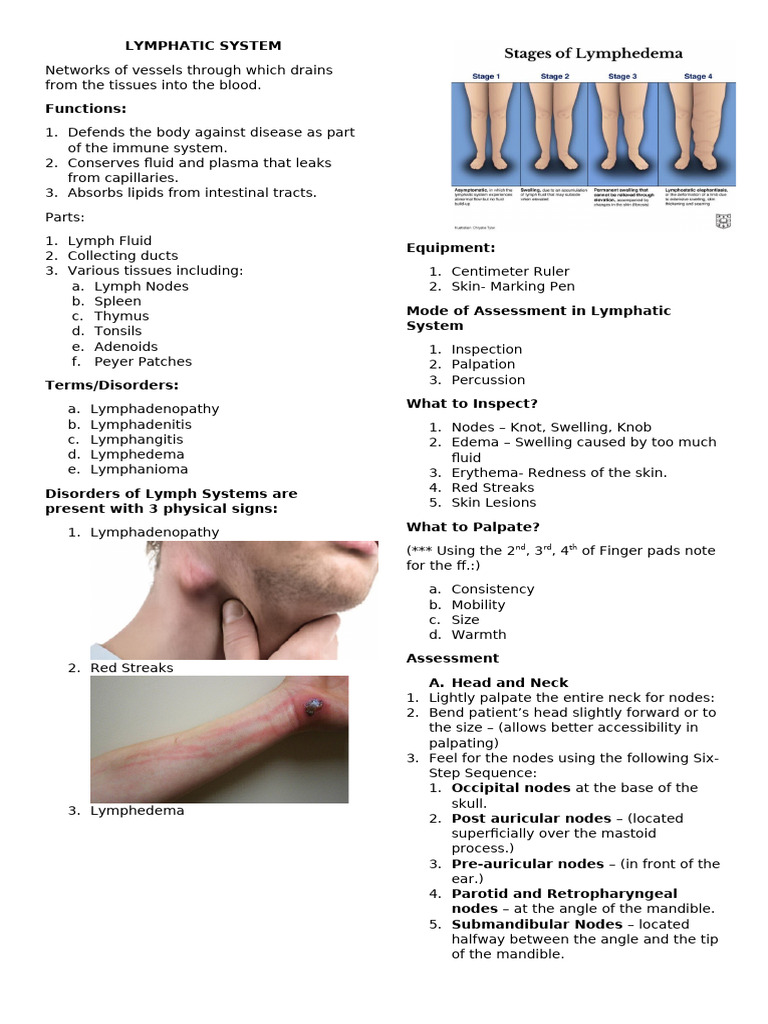 Lymphatic System Notes | PDF | Lymphatic System | Arm