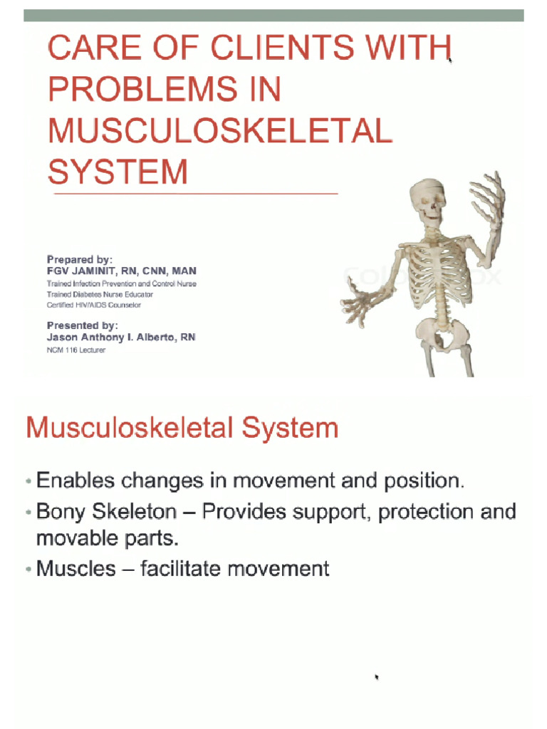 Musculoskeletal System | PDF