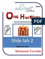 Slide Lab 2: Mohamed Tawalbe