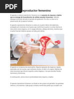 Esquema del aparato reproductor femenino | PDF | Ciclo menstrual | Labios