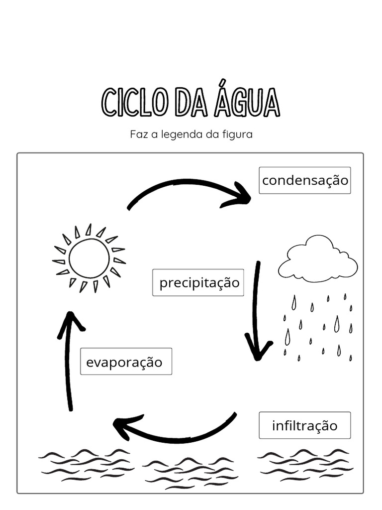 Ficha Estudo Do Meio 2 3 Ano Ciclo Da Agua Solucoes | PDF