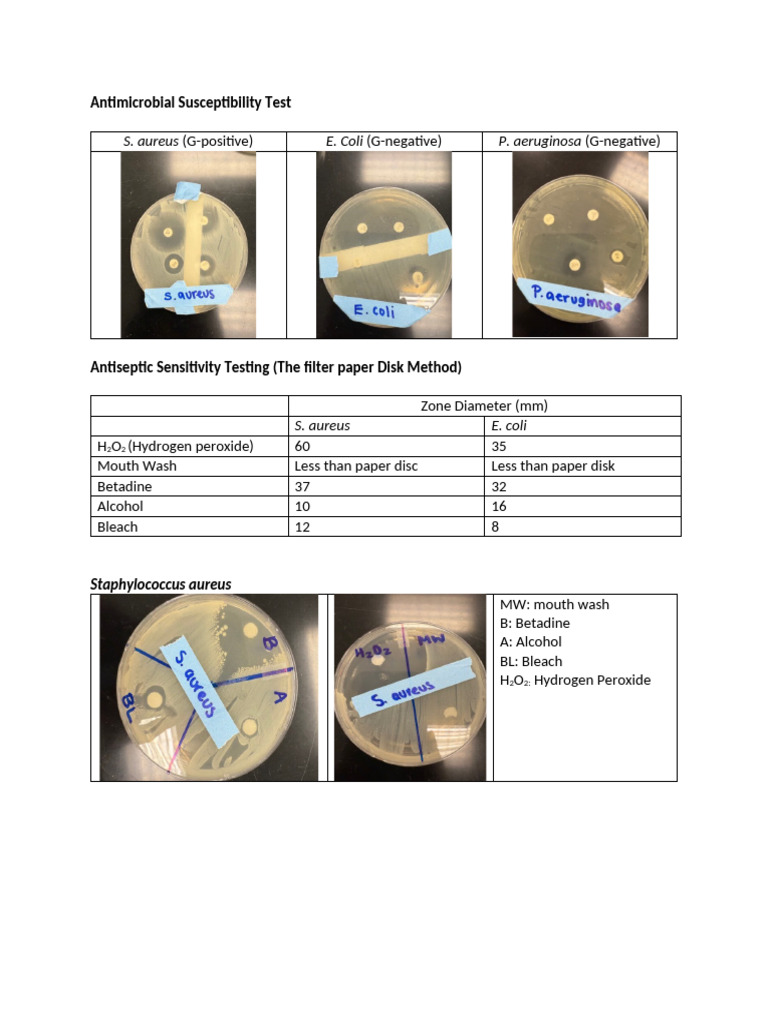 Antimicrobial Susceptibility Test | PDF