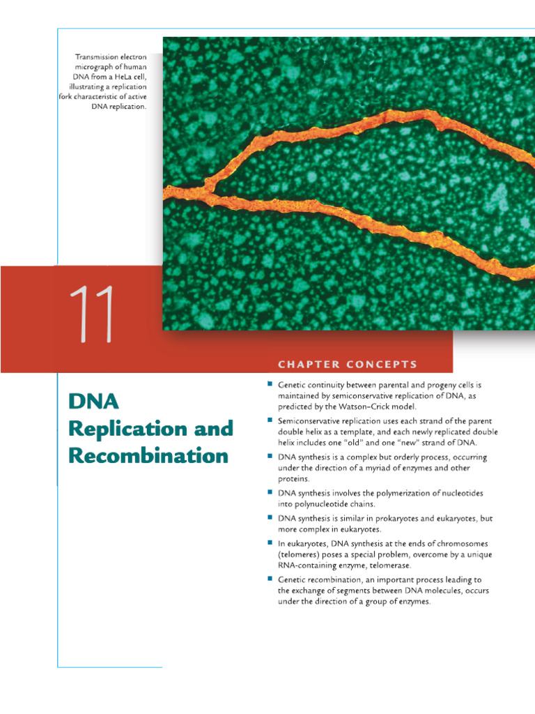 Replication Notes | PDF