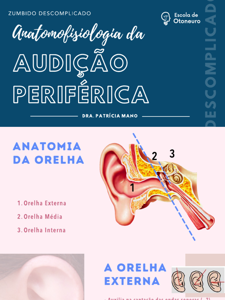 Anatomia da Orelha e Audição Descomplicada | PDF | Audição | Orelha