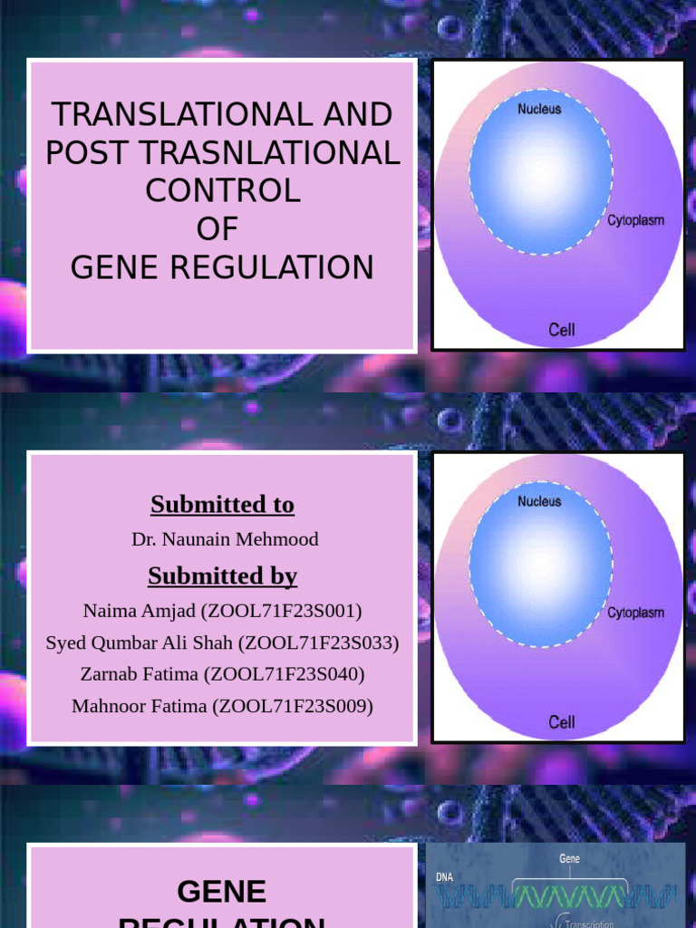 Gene Regulation: Translational Control Mechanisms | PDF | Ubiquitin ...