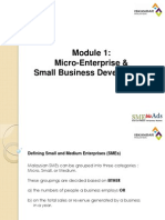 Micro-Enterprise & Small Business Development