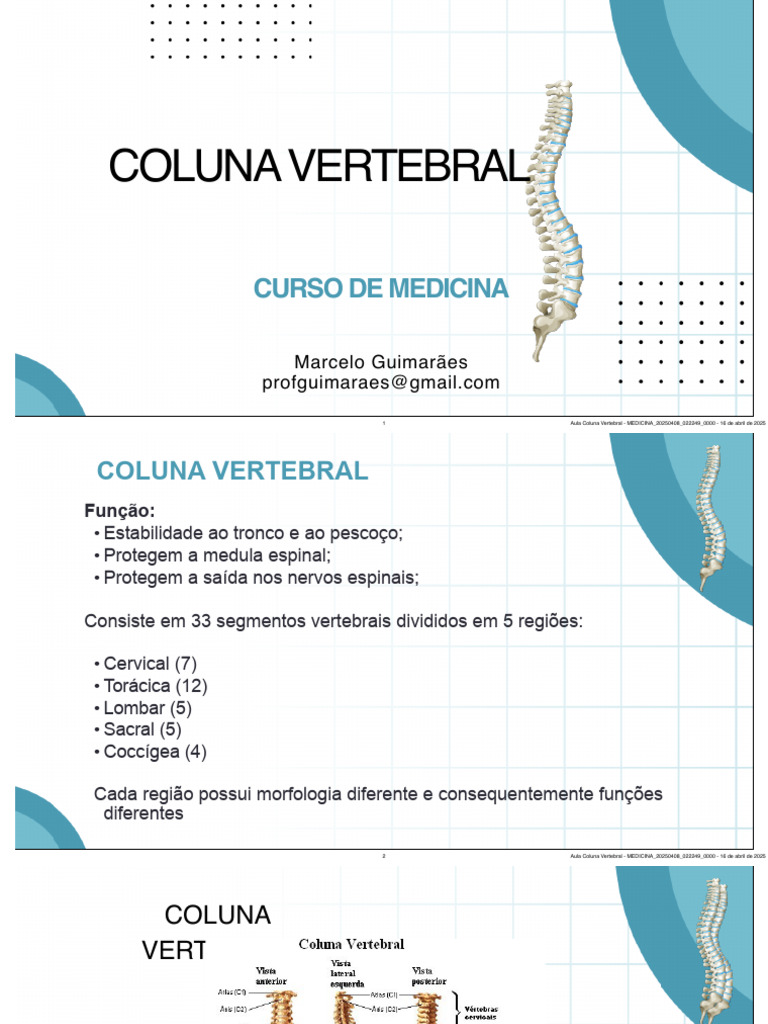 Anatomia da Coluna Vertebral | PDF | Coluna vertebral | Vértebra