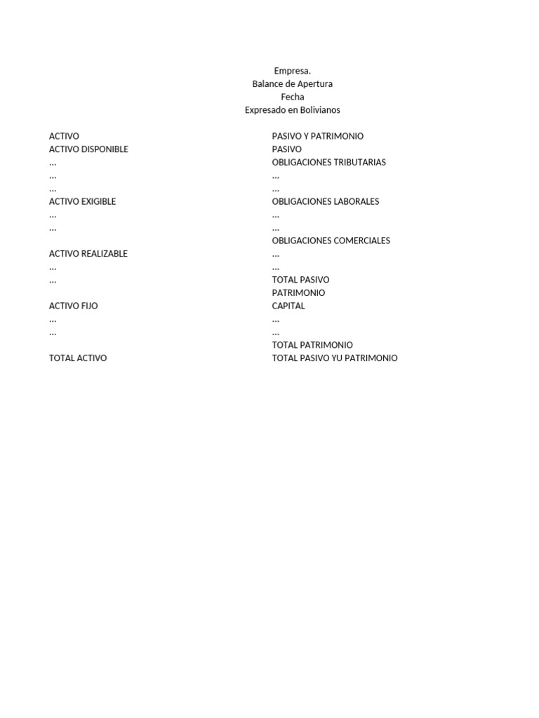 Formatos de Libros Contables | PDF | Hoja de balance | Contabilidad