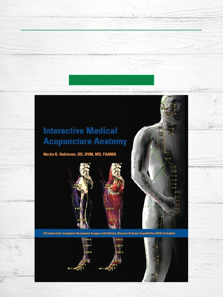 Interactive Acupuncture Anatomy Guide | PDF | Acupuncture | Traditional ...