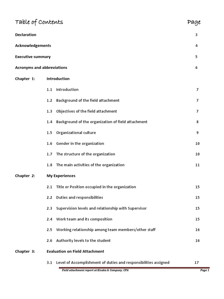 Intern Report Certified Public Accountant Accounting