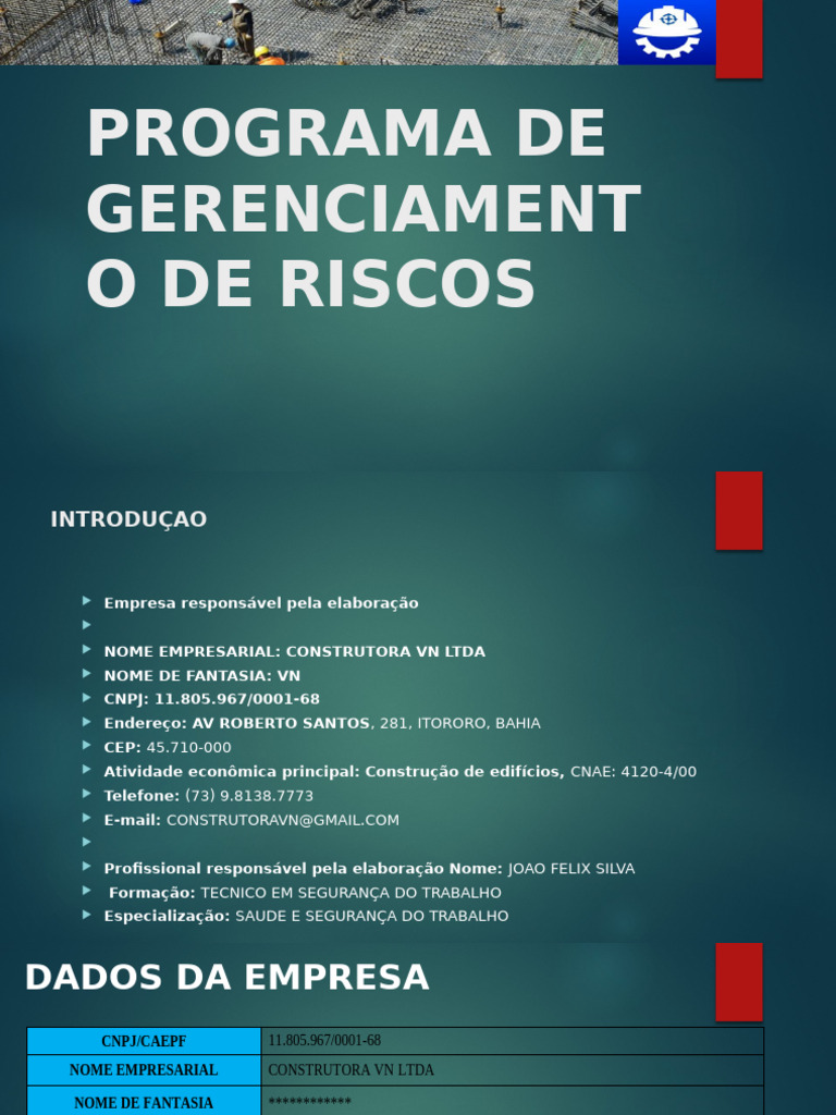 Programa de Gerenciamento de Riscos | PDF