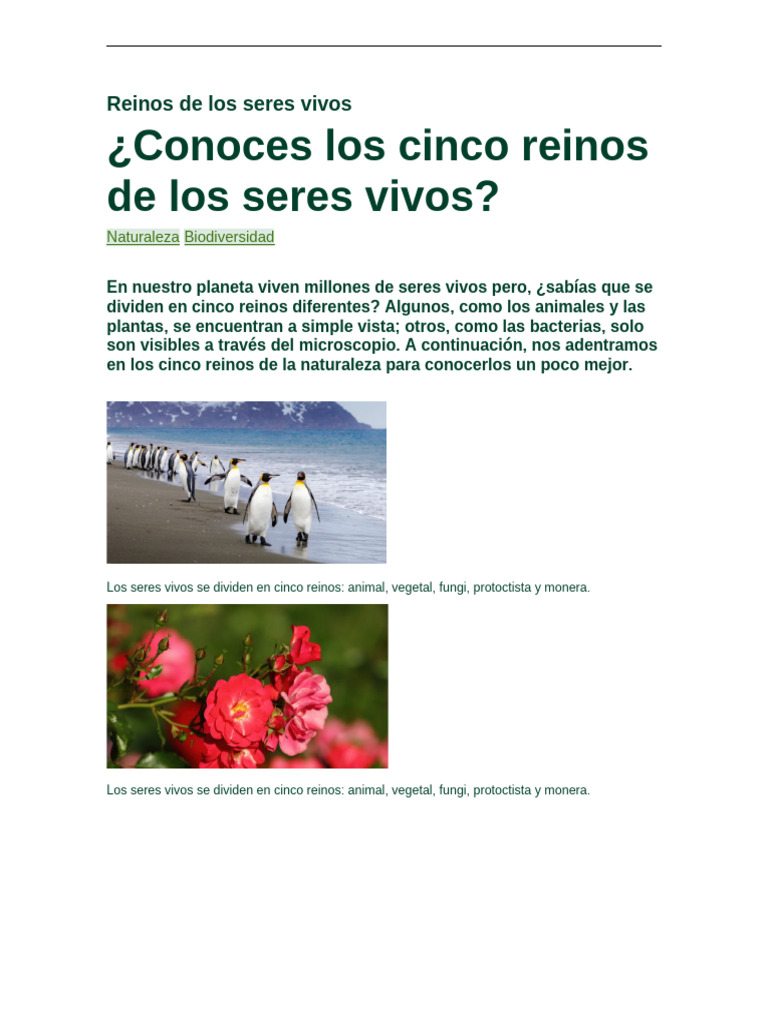 Cinco reinos de los seres vivos | PDF | Plantas | Eucariotas