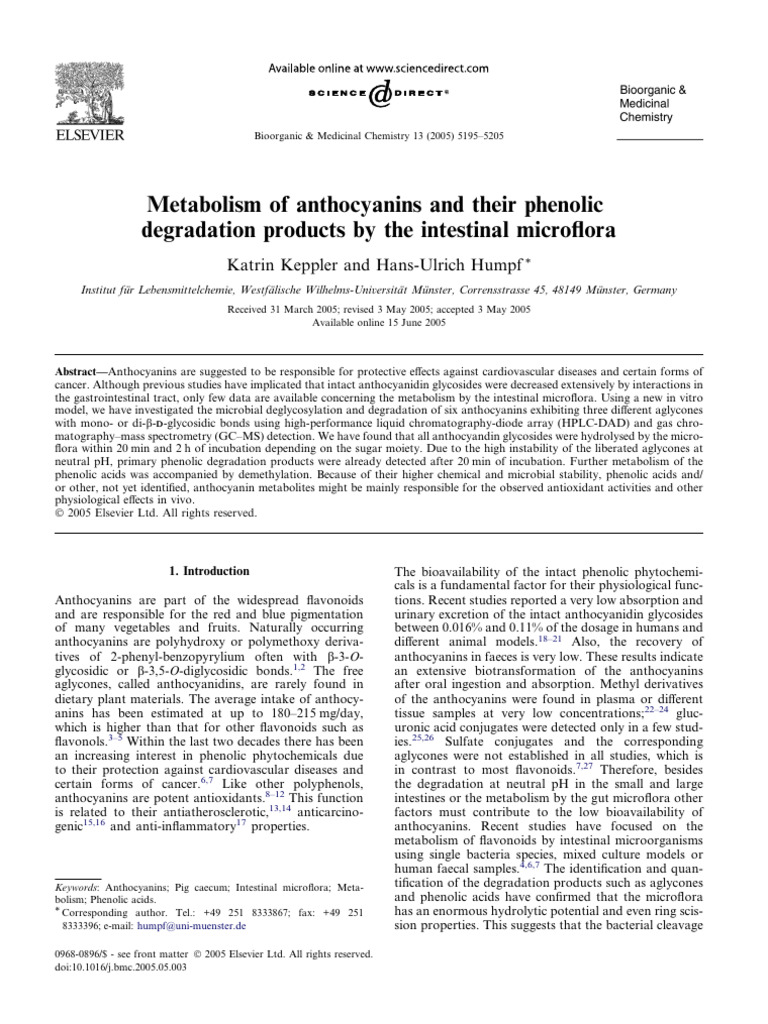 Metabolism of Anthocyanins and Their Phenolic Degradation Products by ...